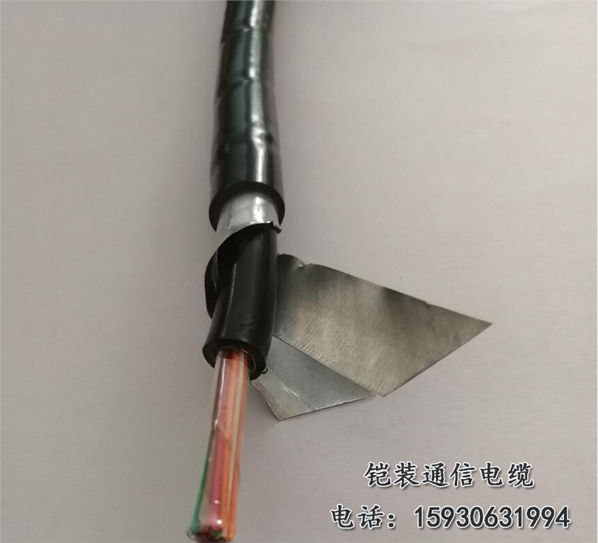 局用配线电缆HPVV