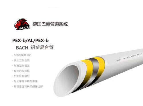 ¹BACHͺPE-XܸϹ,ܹܣ¹ůܣܹܣڵů