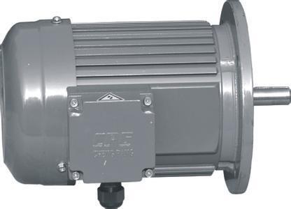 新闻:九原区Minchuen5HP电机NLK28075031供应