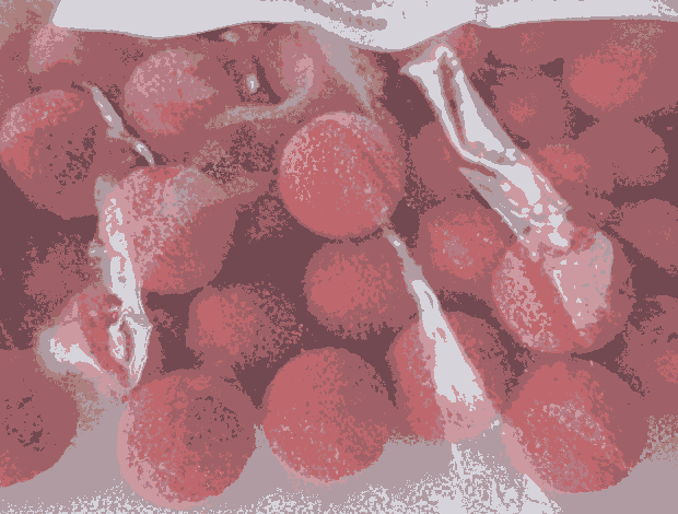 ԭװSchmitzʩ˹15RS15M1