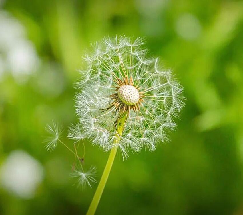 ѹӢӼ۸ ѹӢֲ﹩Ӧ