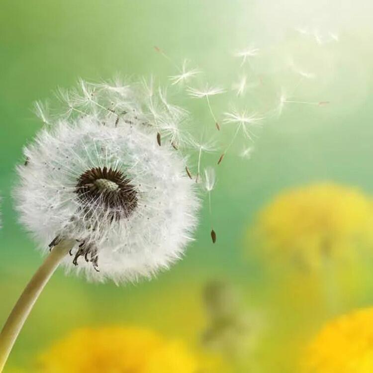 ѹӢӼ۸ ѹӢ缼 ѹӢݼӦ