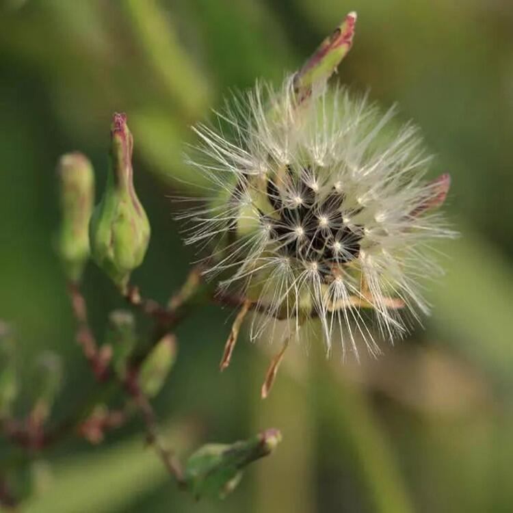 ѹӢӼ۸ ѹӢ ѹӢӼ