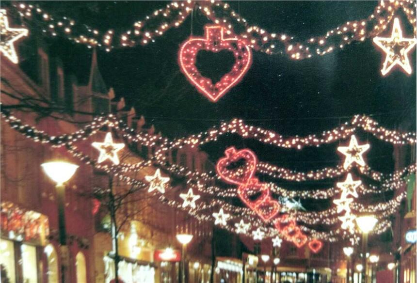 武威商业街道装饰灯厂家辣椒灯杆图案太阳能路灯挂件