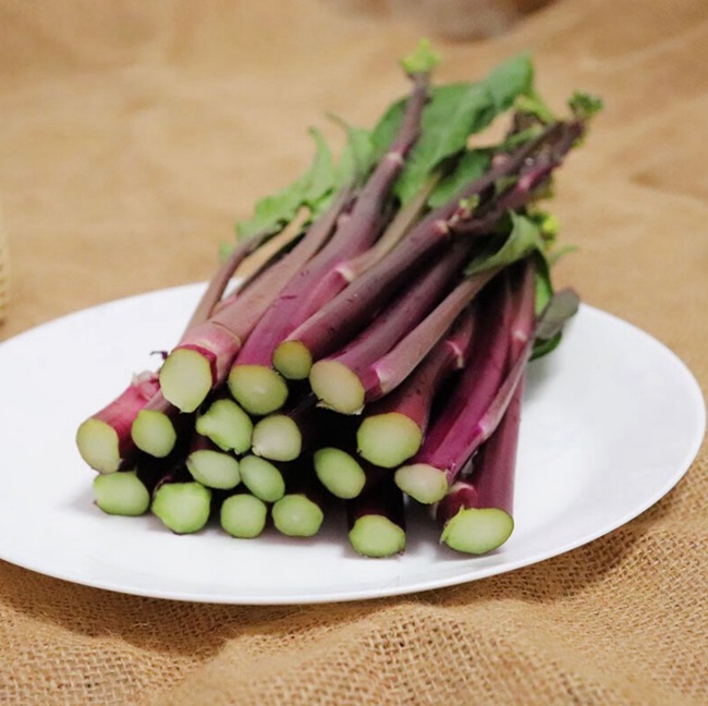 ʺɽ̦۴ۡѴ׳Ӫζҳ