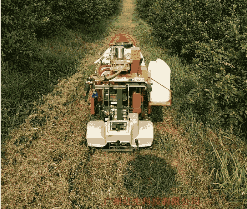 ˮ3WZ51ALĴʽ ?¡ζ ҩ Ĵ?