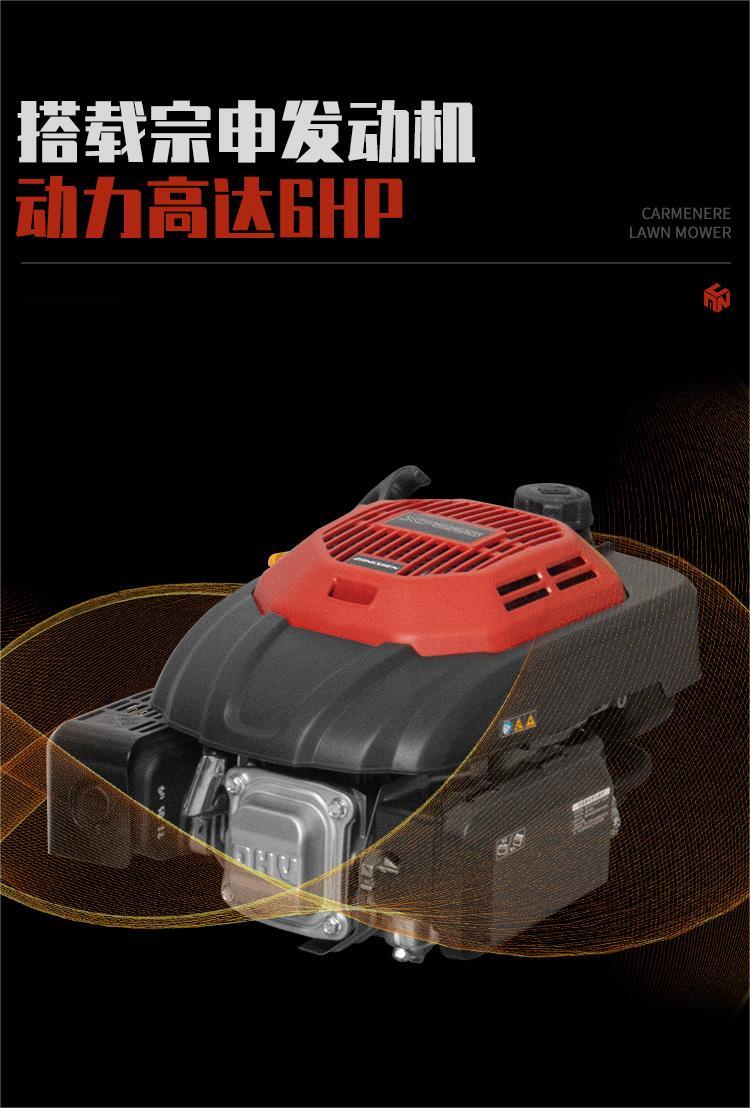 ZS͸ݻ ݻXP225ʽƺ޼