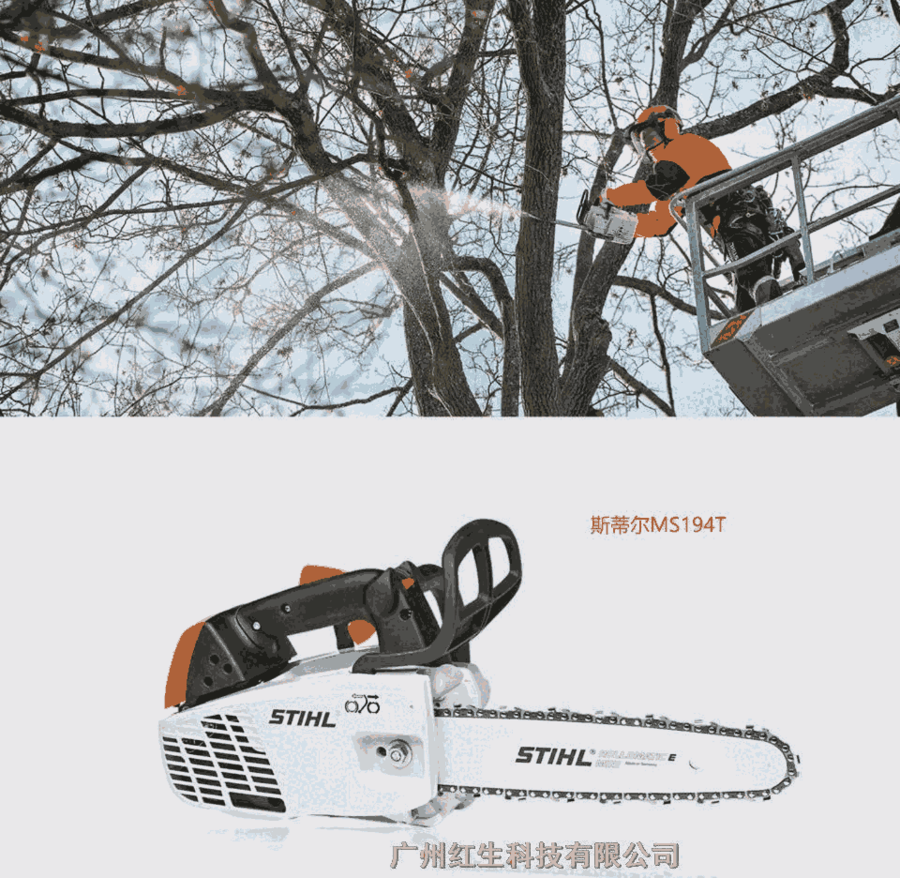 ˹ٶMS194Tľ; ⿳ ɭֿ; 14