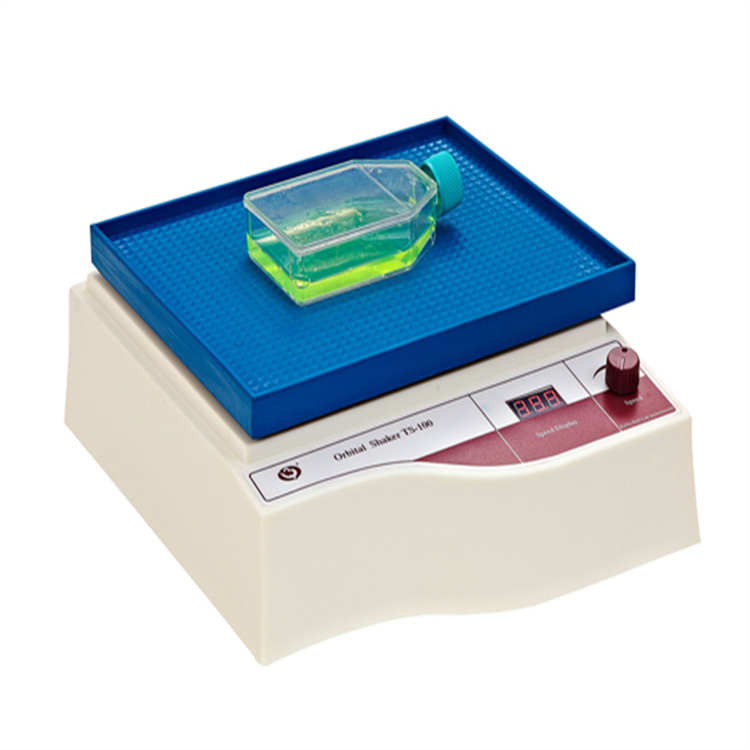 ֱ TS-100 ɫҡʵ񵴲ð