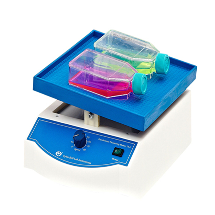 ֱ TS-8 תɫҡ ΰʽ񵴣ʵɫתƺð