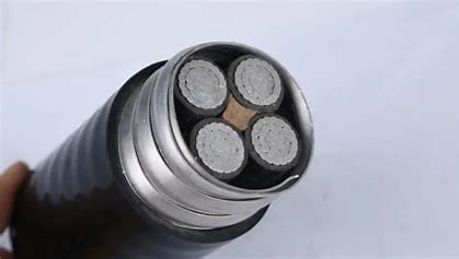 ȼZR-YJV-0.6/1kv-2x95