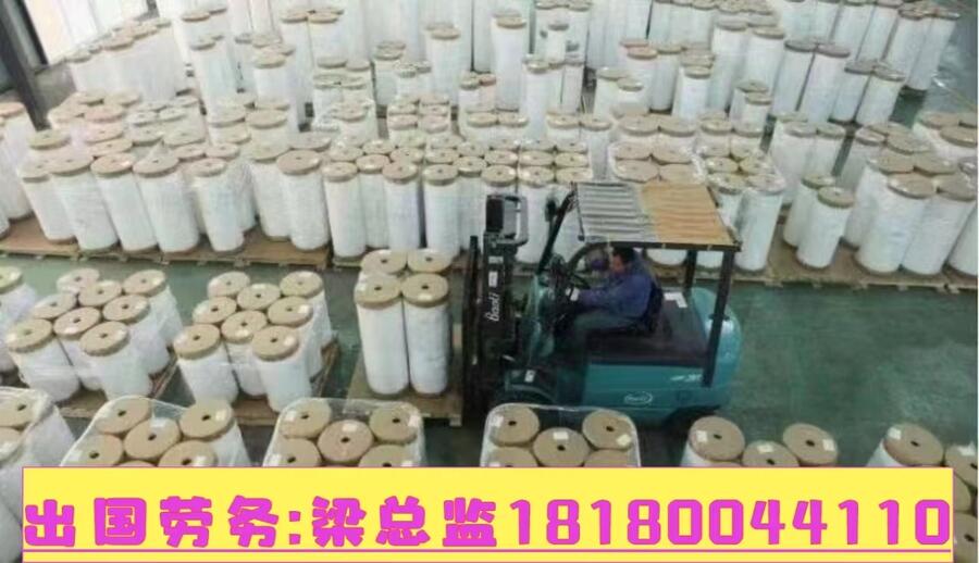 2024ʮũժԱֲҪӢ﹤