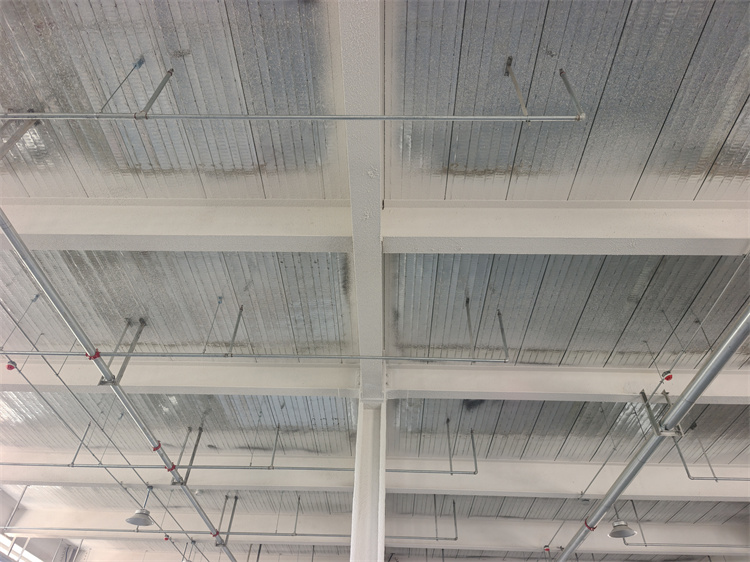 钢结构装置区防火涂料制药厂防火涂料施工队专业施工