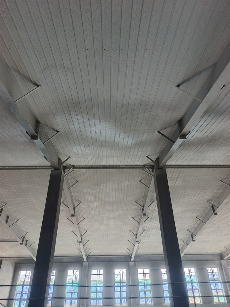 ͸ֽṹͿʩѸʱӰؼŻʩ