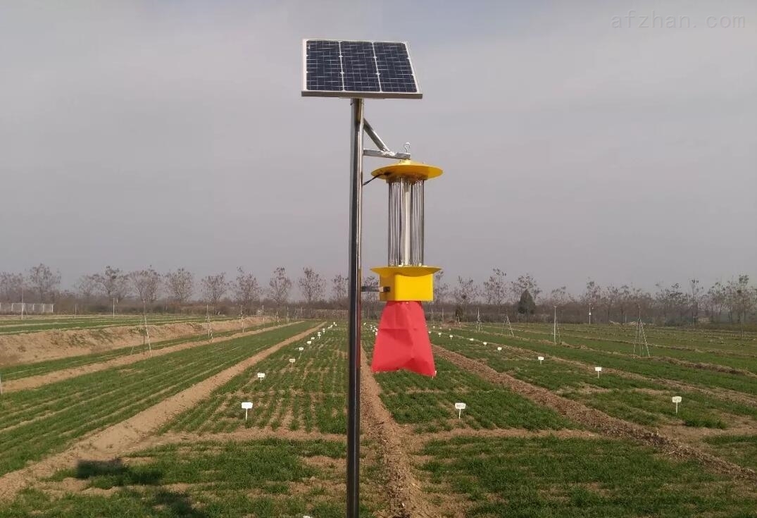 ̫ɱ-ũ̫ɱ-ũҵ̫õ-LEDõ