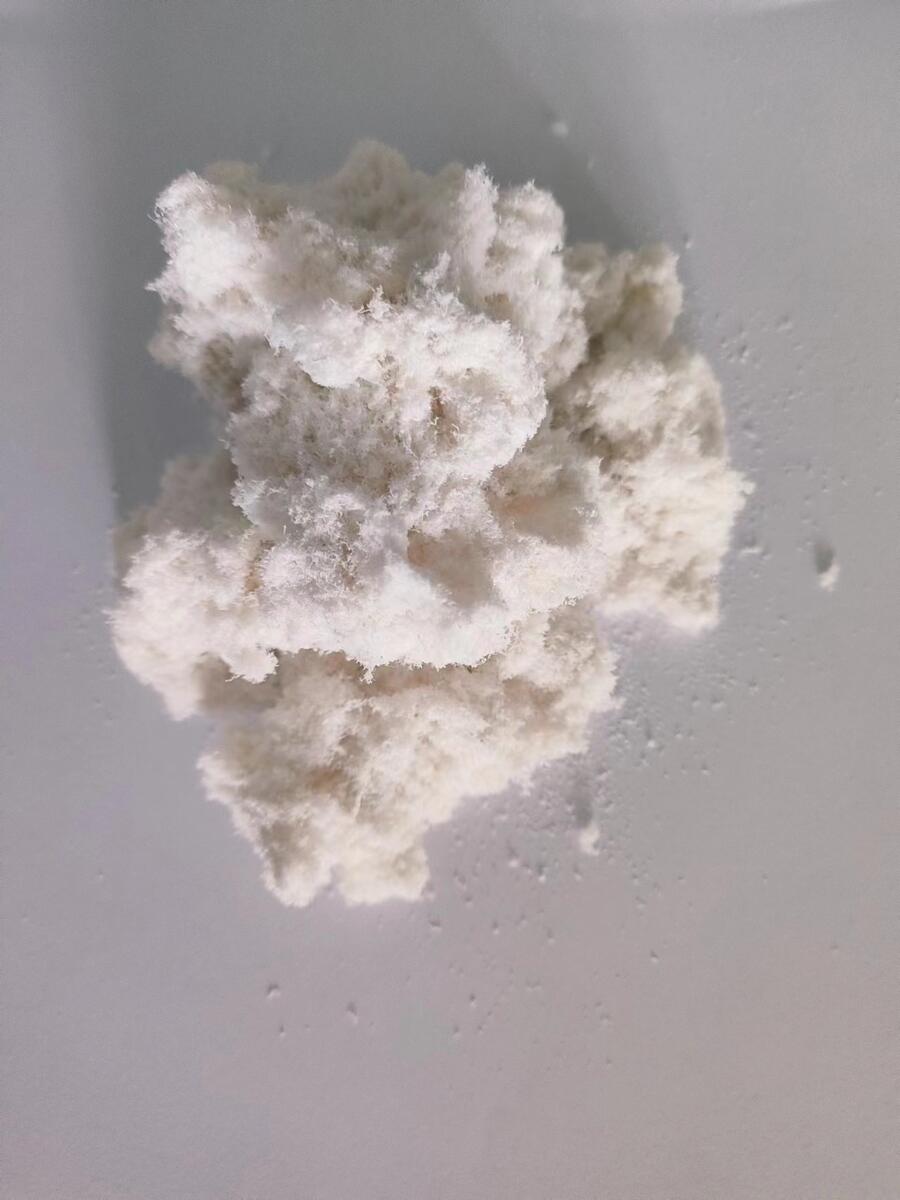 ɳʳƷԭ϶˿׻ţƤά