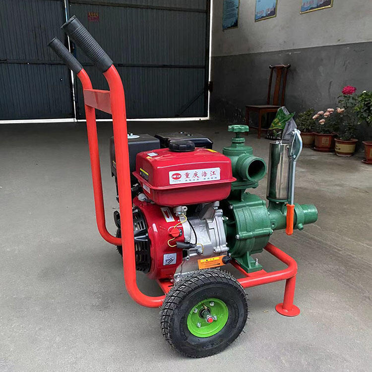 喷枪右江电子打火拖车水泵电启动柴油机抽水泵耐用