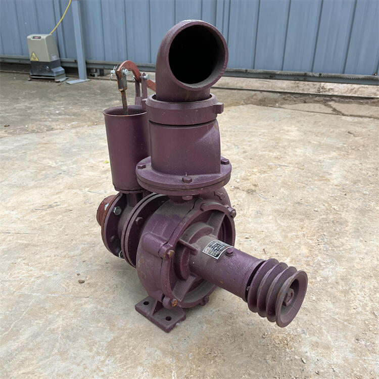 鱼塘排污水泵农用抽水泵自吸泵节省劳动力会理扬程汽油抽水泵经济实惠