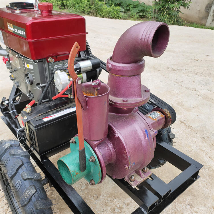 СóˮѴˮþʵӺͻˮûԳýʡͶ