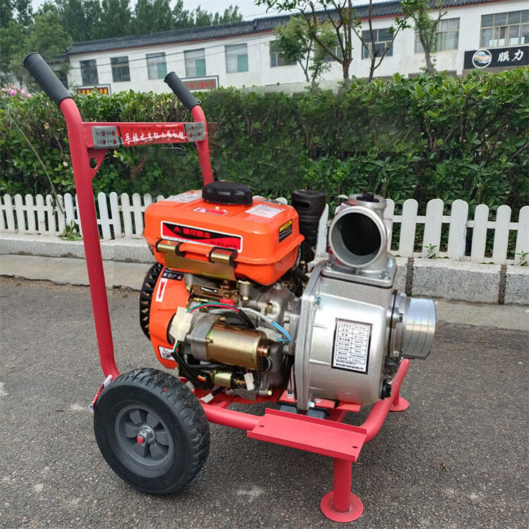 喷枪右江电子打火拖车水泵电启动柴油机抽水泵耐用