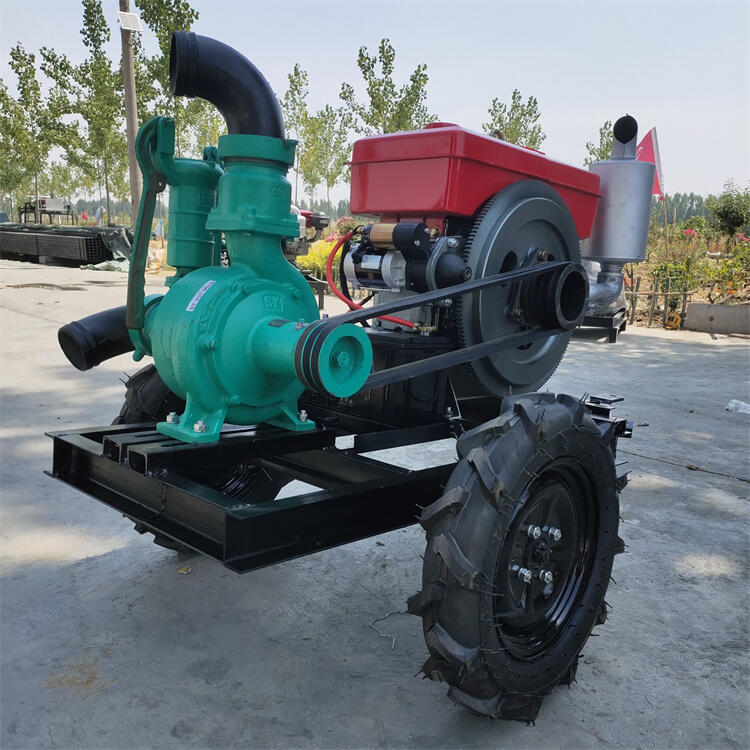 喷枪50米北碚污水防汛排水泵园林灌溉抽水泵优质耐用