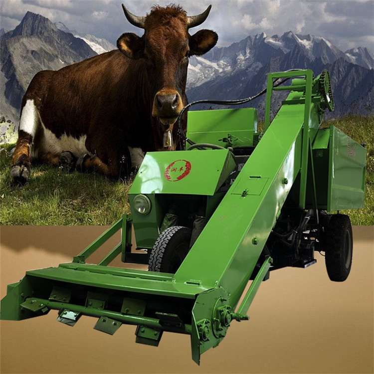 ţֳ೵Զη೵װжţշ೵