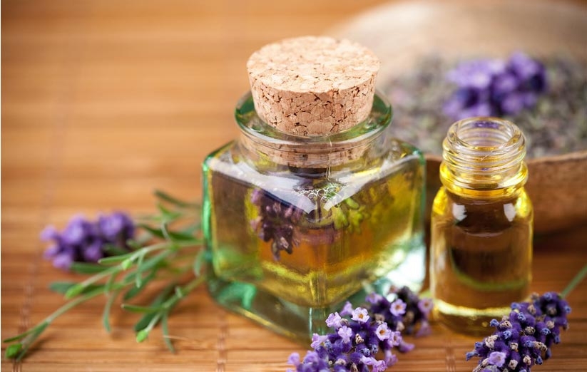 ɽ  Ϳ㾫 㡢ľ㡢㡢Ҷ㡢㡢㡢㡢ˮ㣩