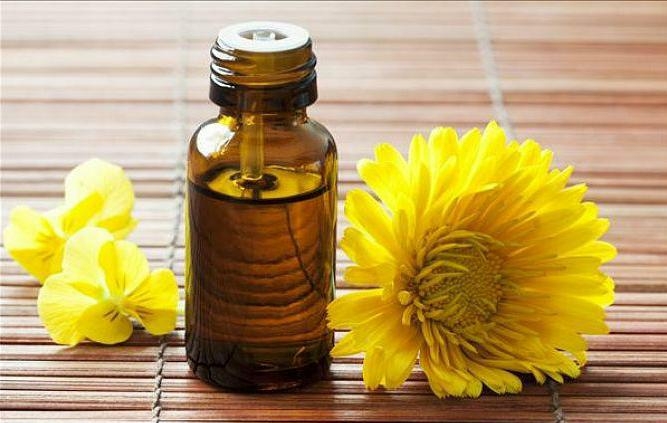 ɽ  ˮ㾫ݡ㡢㡢㡢ľ㡢Ҷ㡢ˮ͡ɭ͵ȣ