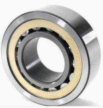 SKF6317