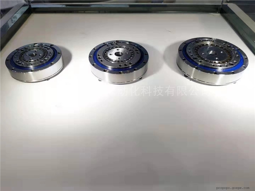 ±SHIMPOٻHDгٻTsubaki