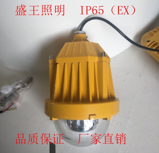 海洋王BPC8765免防爆平台灯