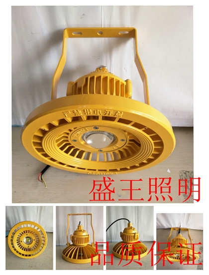 TG706分体式节能投光灯