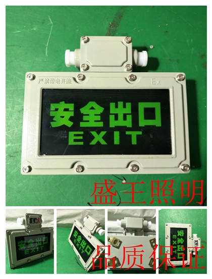 TG706分体式节能投光灯