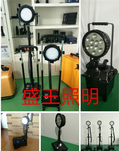 SNF125-MH400W/250WⳡǿͶ