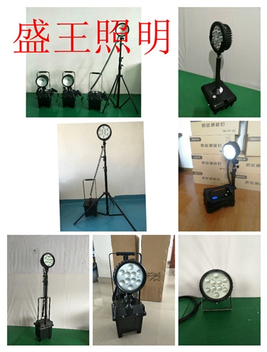 -J1000W防震投光灯TFN7119 TFN7119