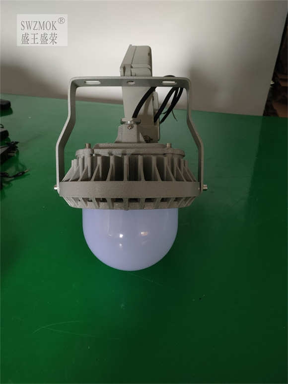 LEDѣGS-7301_GS-7301 2025Ѹ£/ѯ