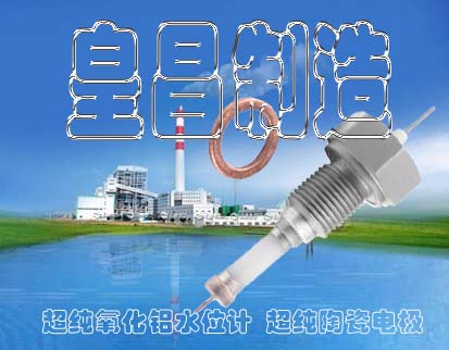 ˮλ缫M161.097mm¯ˮλƵӵ缫