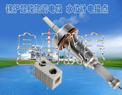 ¯缫M202.087mmͲˮλ缫