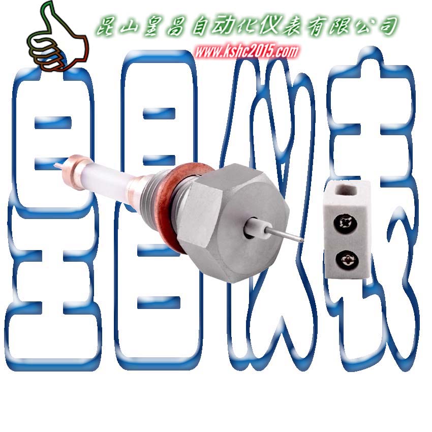 ¯缫ͺDJY2612-115¯մɵ缫