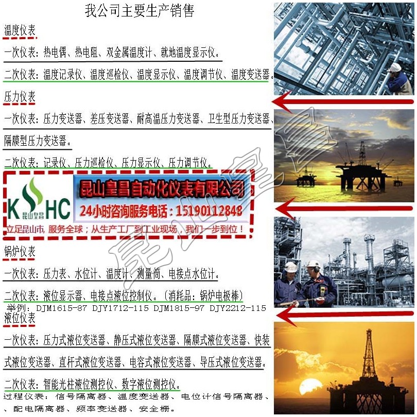 ʯīˮλ缫RDJ2000E¯Ͳרõ缫