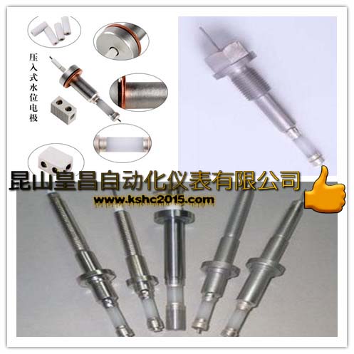 ¯缫ͺDJM2015-87DJY2612ˮλƵ缫