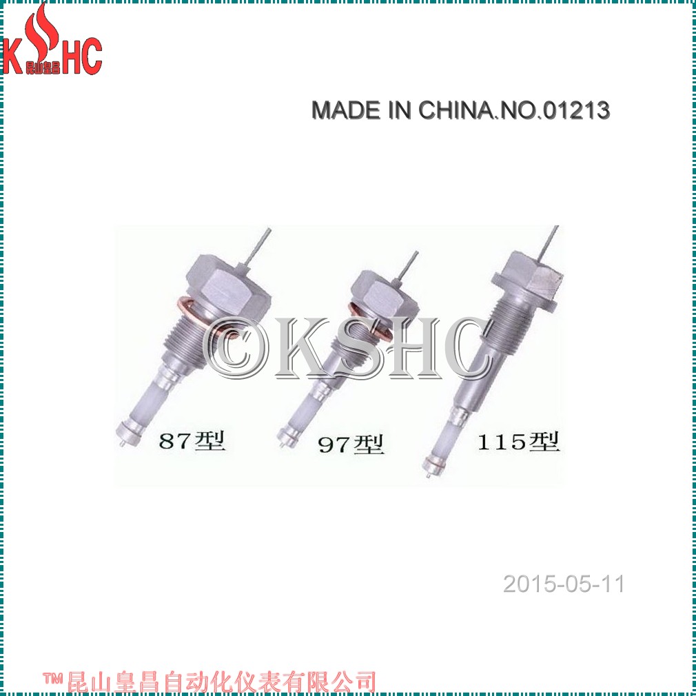 ʯīˮλ缫RDJ2000E¯Ͳרõ缫