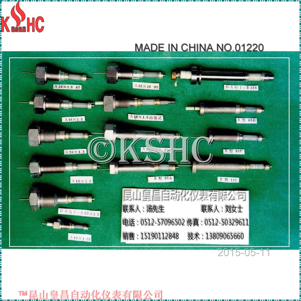 ʯīˮλ缫RDJ2000E¯Ͳרõ缫