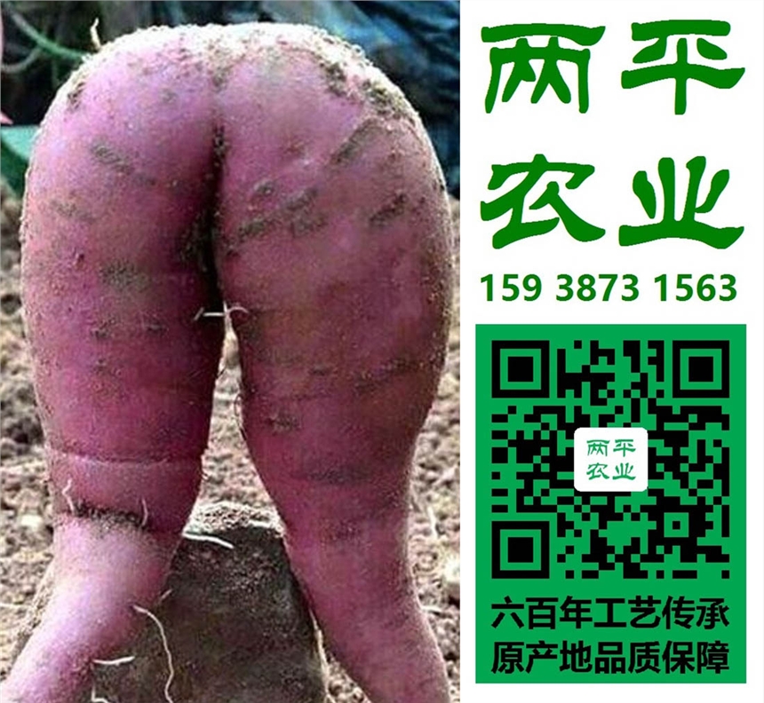 ֪Ʒƣֹɱ۸񣬴ƹ˾ɽ