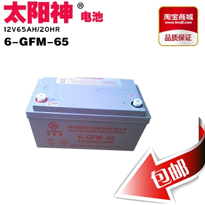 ̫12V65AH6-GFM-65 UPS/EPSԴֱ 