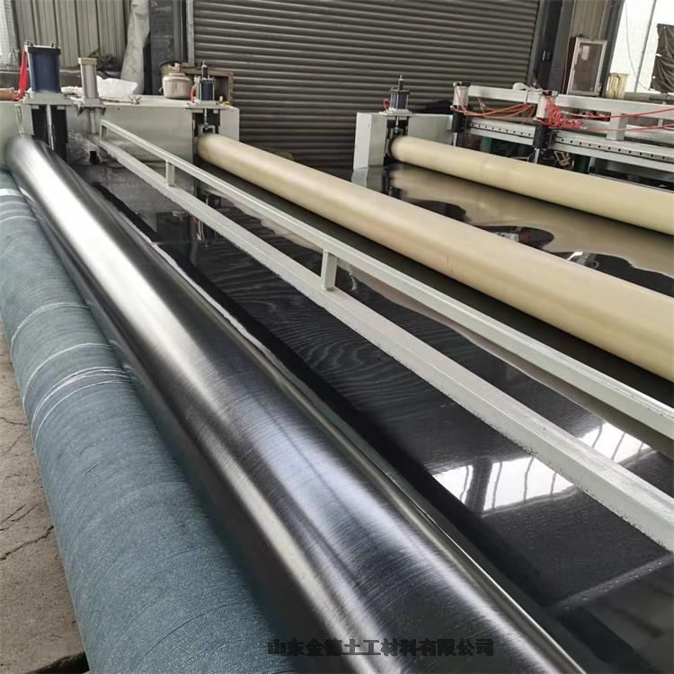 500gڳ˿ β׵GSE׼HDPEĤ1.2