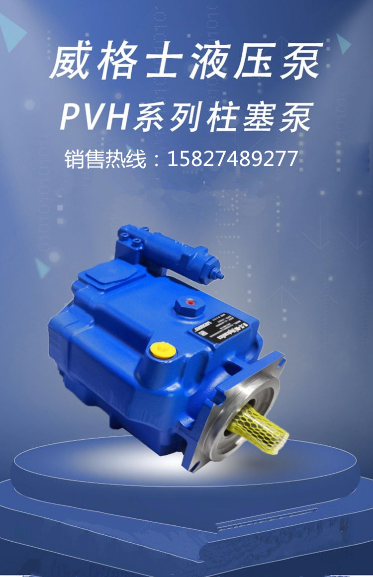 人¡ҺѹA7V250DR1LZF00