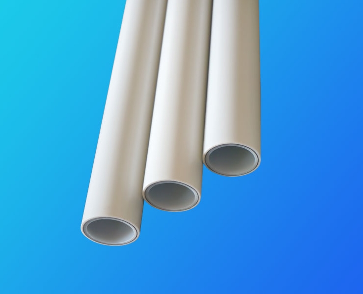 Ĵɶdn20PSPܸϴ߹ ¹ ׹ ܸϹ