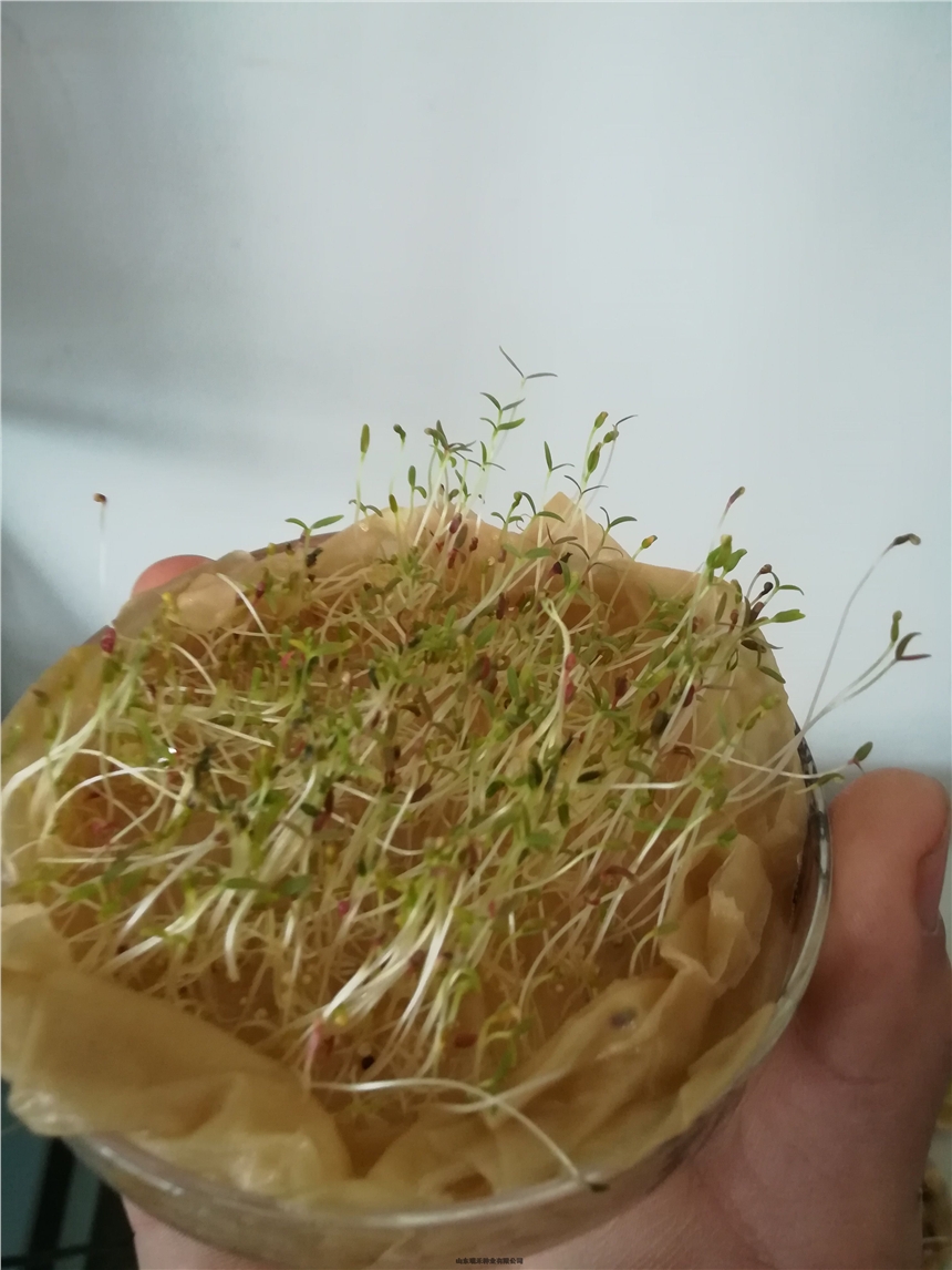 怎样选择绿化草种子保水剂 怎样选择绿化草种子保水剂