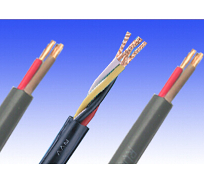 ZR-YGCP-2*4载流量